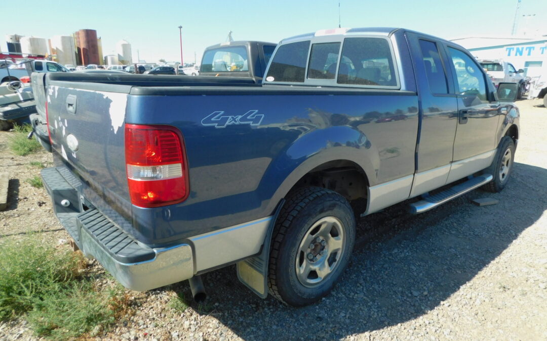 2006 F150  1224