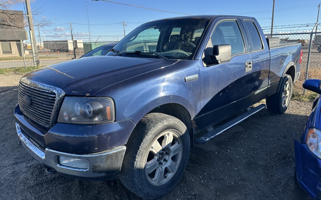 2004 FORD F150