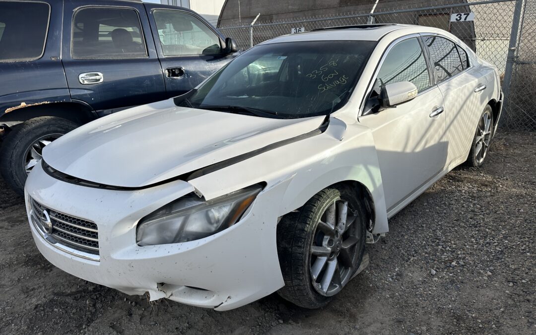 2010 NISSAN MAXIMA