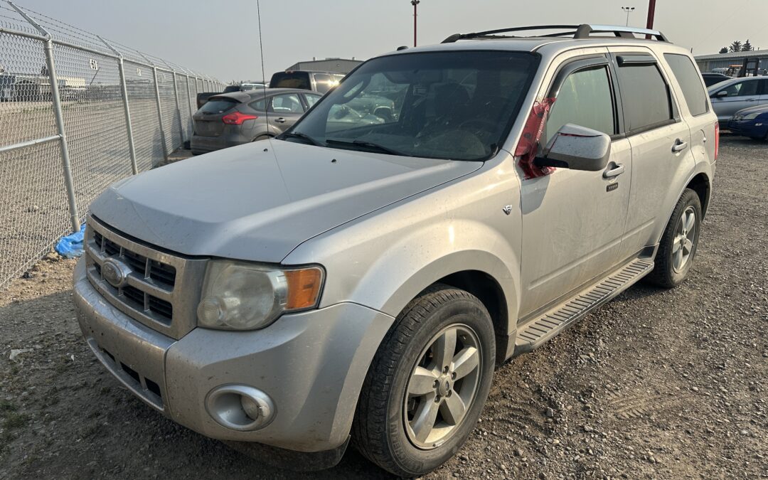 2010 FORD ESCAPE (SILVER)