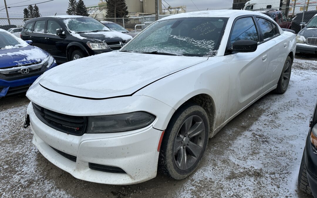 2015 DODGE CHARGER (WHITE)