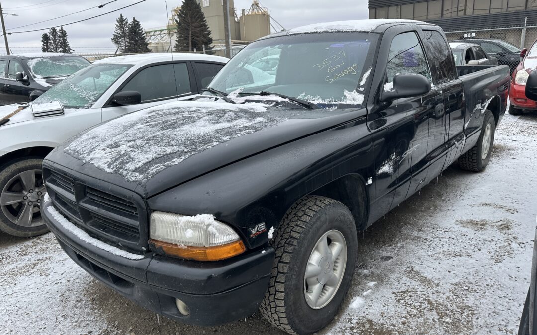 2000 DODGE DAKOTA (BLACK)