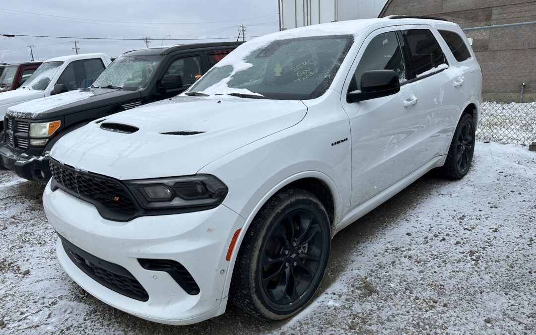 2023 DODGE DURANGO R/T (WHITE)