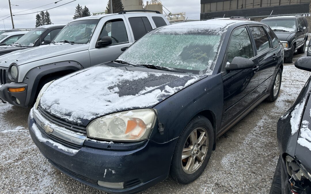 2005 CHEVROLET MALIBU MAXX (BLUE)