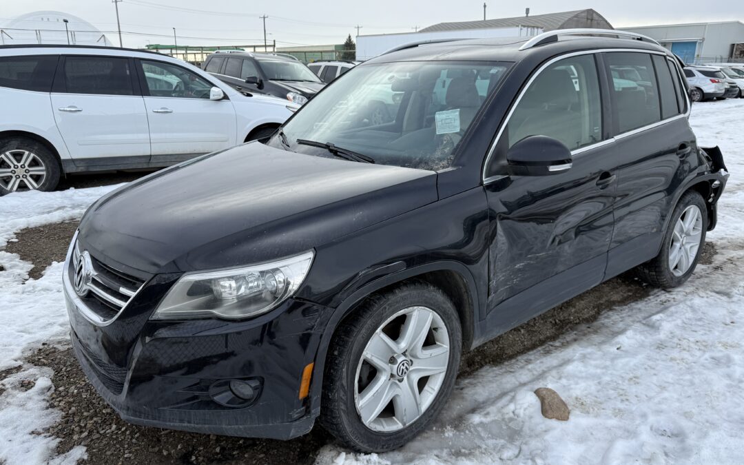 2010 VOLKSWAGEN TIGUAN