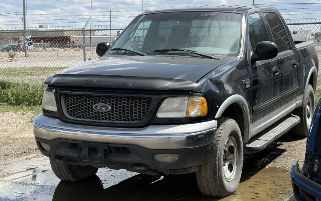 2009 FORD F150