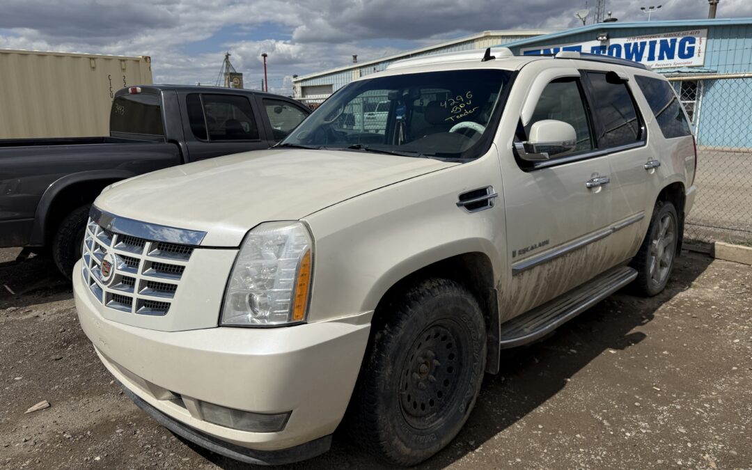 2010 CADILLAC ESCALADE