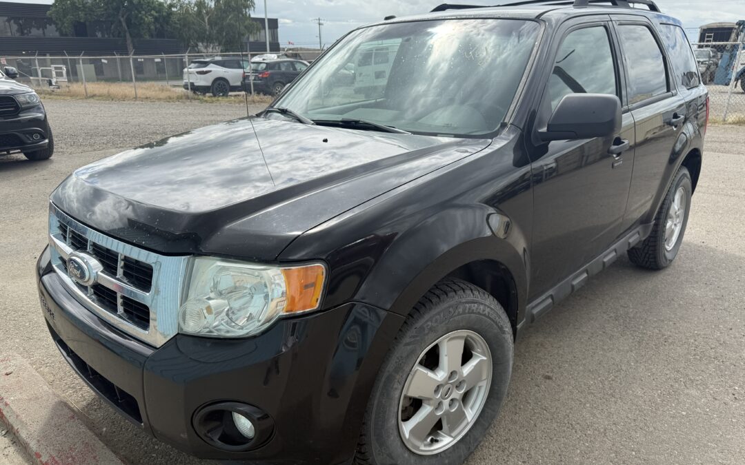 2011 FORD ESCAPE