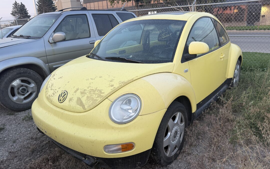2000 VOLKSWAGEN BEETLE