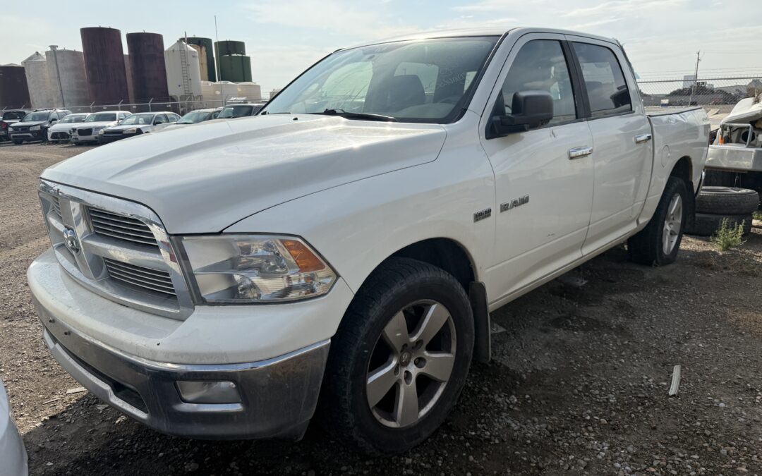2009 DODGE RAM 1500