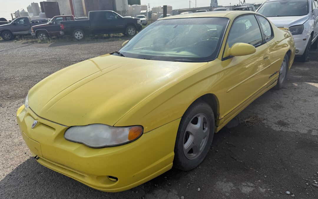 2002 CHEVROLET MONTE CARLO