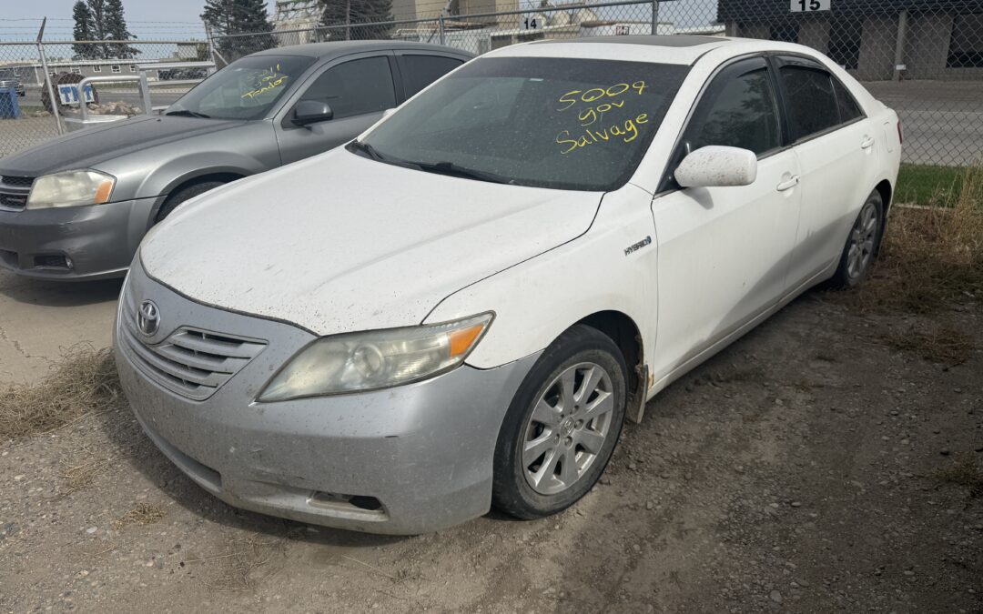 2010 TOYOTA CAMRY