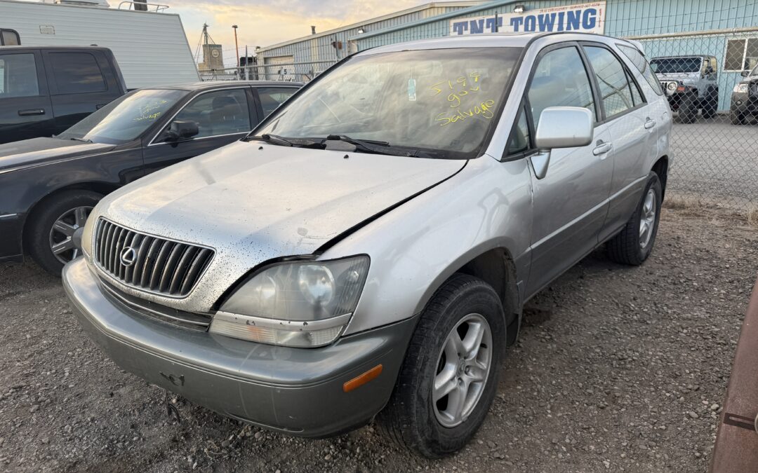 2002 LEXUS RX300