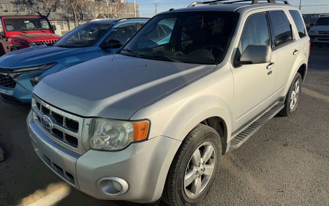 2009 FORD ESCAPE