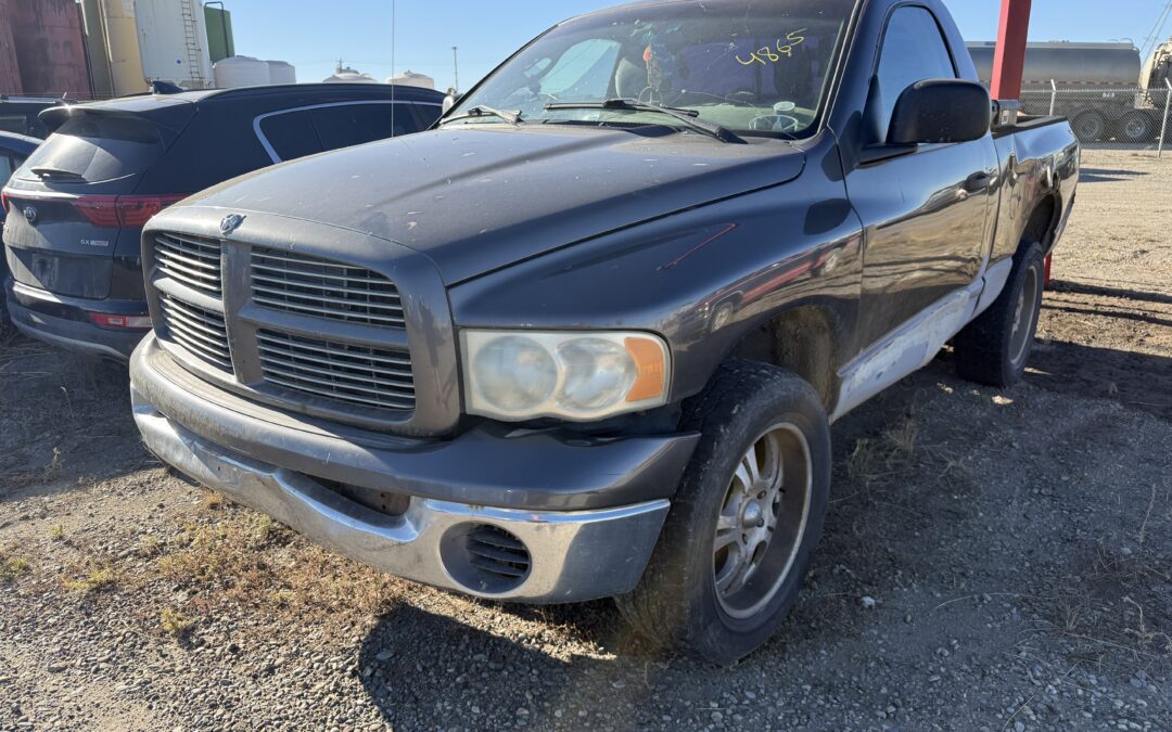 2002 DODGE RAM 1500