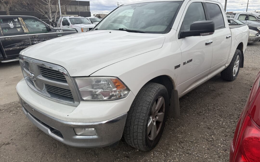 2009 DODGE RAM 1500