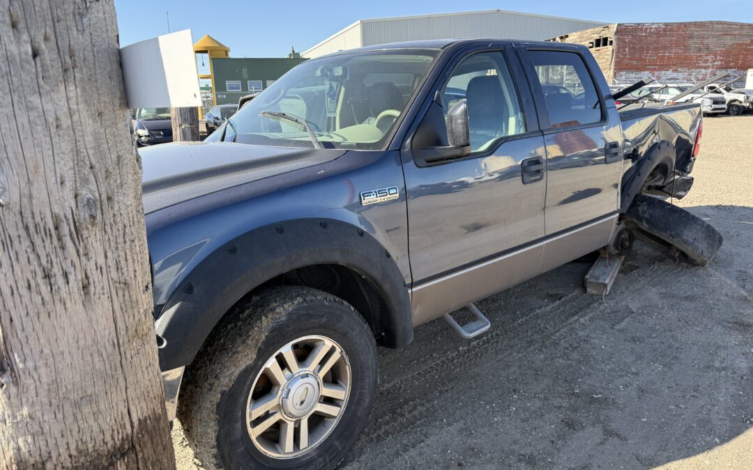 2006 FORD F150