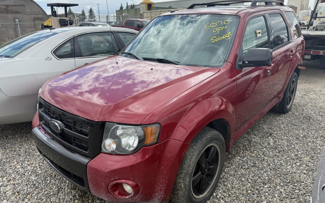 2010 FORD ESCAPE