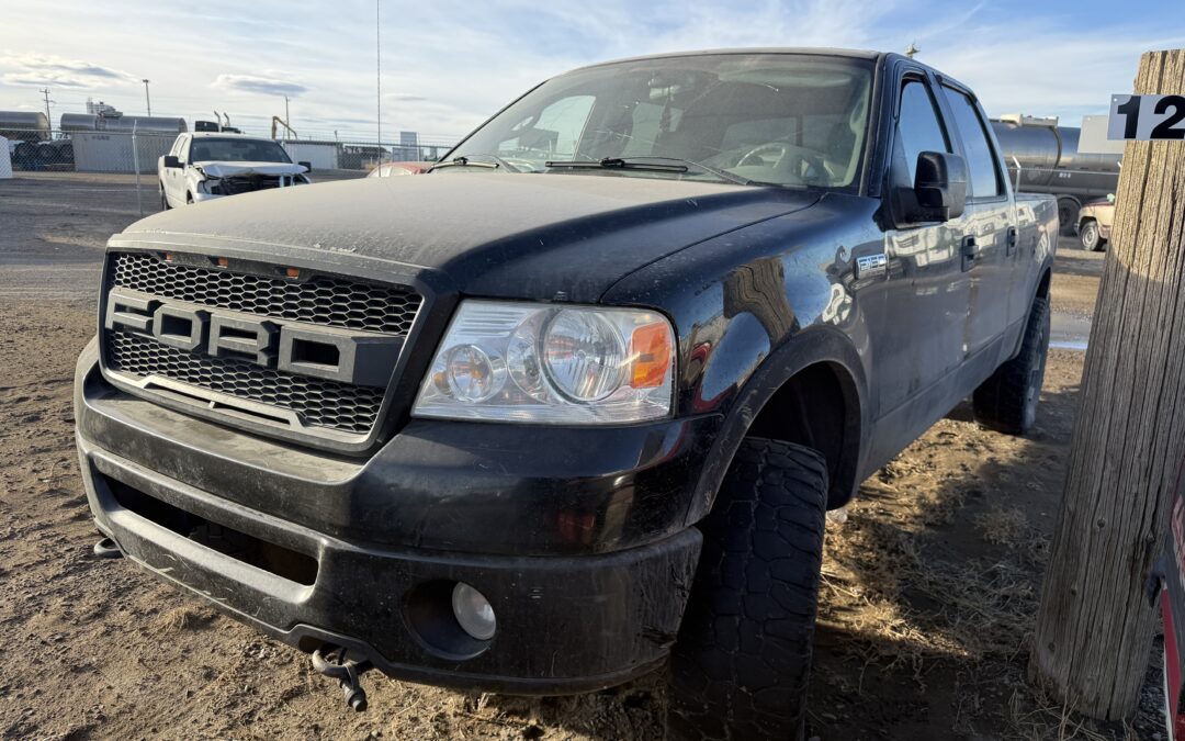 2007 FORD F150